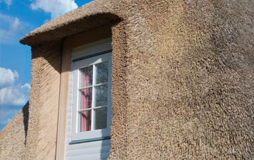 Lupset thatch roof disadvantages